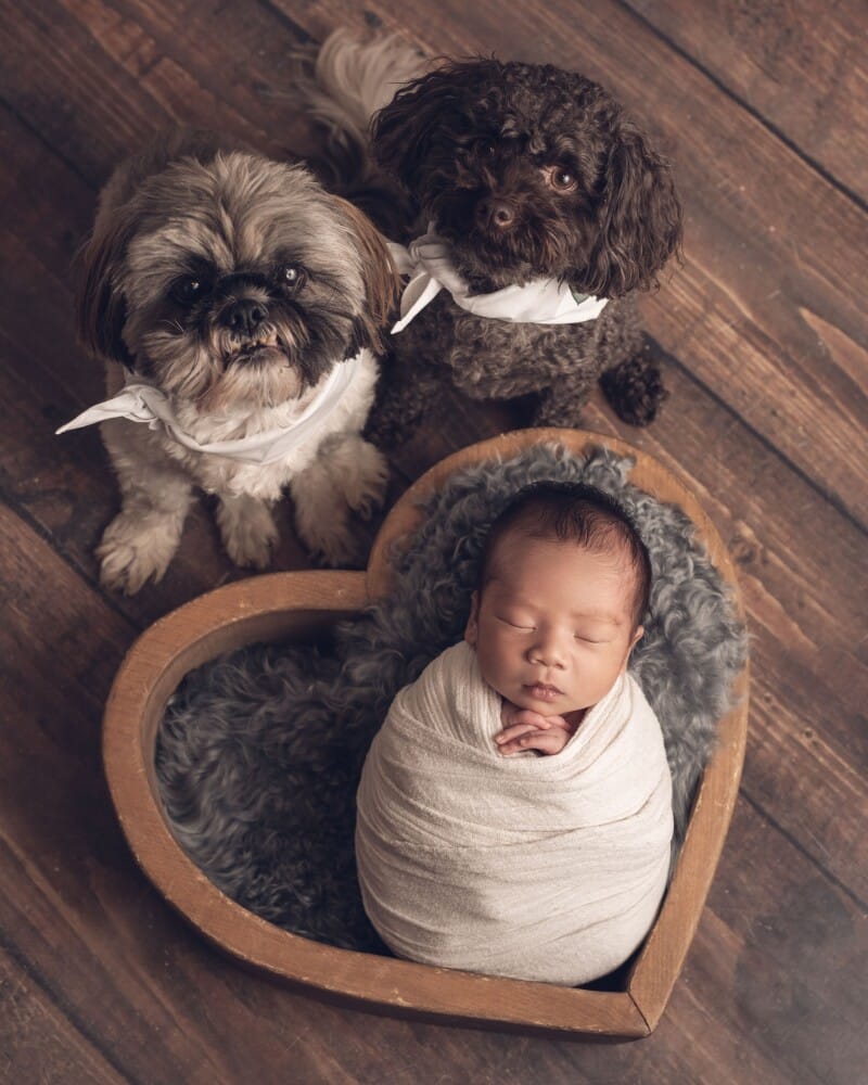 Newborn photography